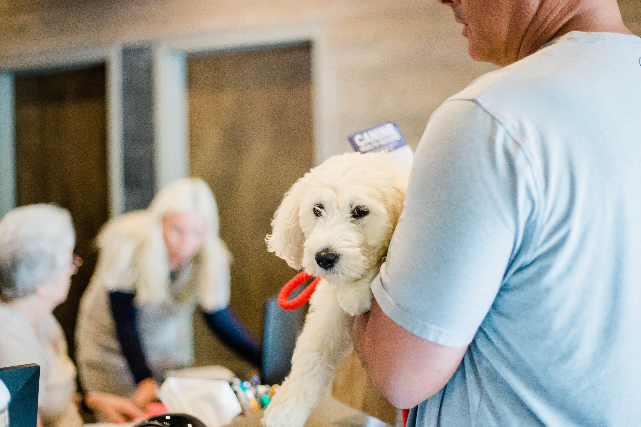 Smyrna - Good Dog Veterinary Care